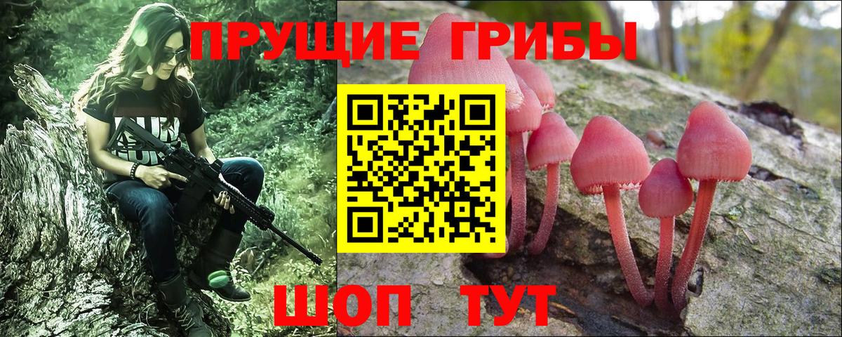Галлюциногенные грибы Psilocybe Муравленко